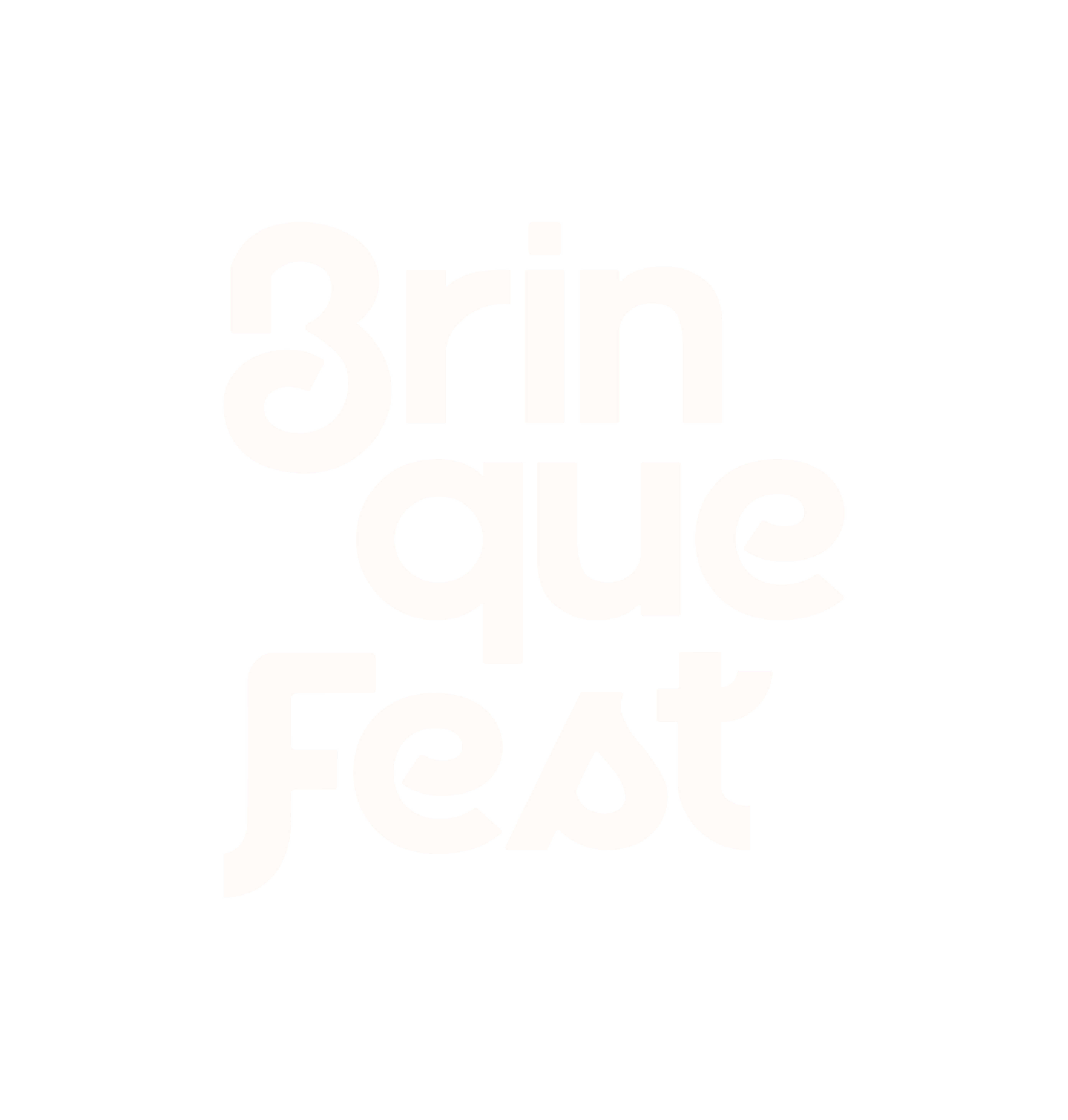 Brinque Fest Festas e Eventos